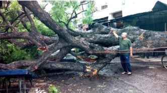 वॉयस ऑफ ए टू जेड न्यूज-UP Weather: लखनऊ में तेज हवा और बारिश, विशालकाय नीम का पेड़ गिरने से मोहन रोड बंद; कार और मकान क्षतिग्रस्त